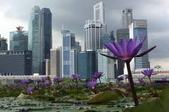 Singapore-27